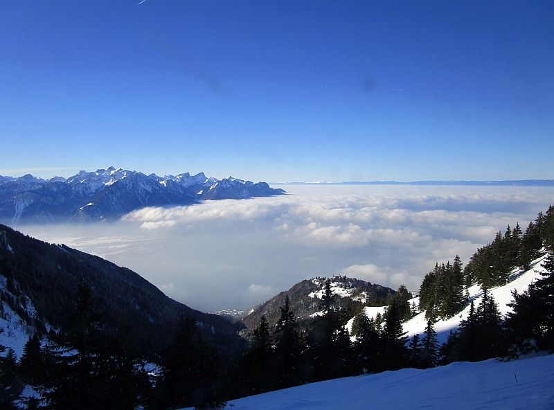 Nebel über dem Genfersee