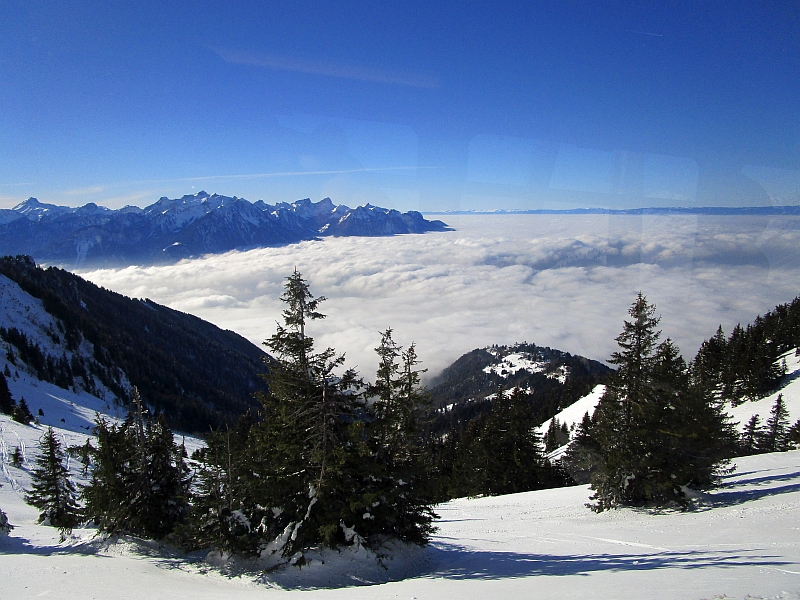 Nebeldecke über dem Genfersee