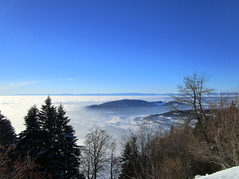 Panoramablick über den Nebel am Genfersee
