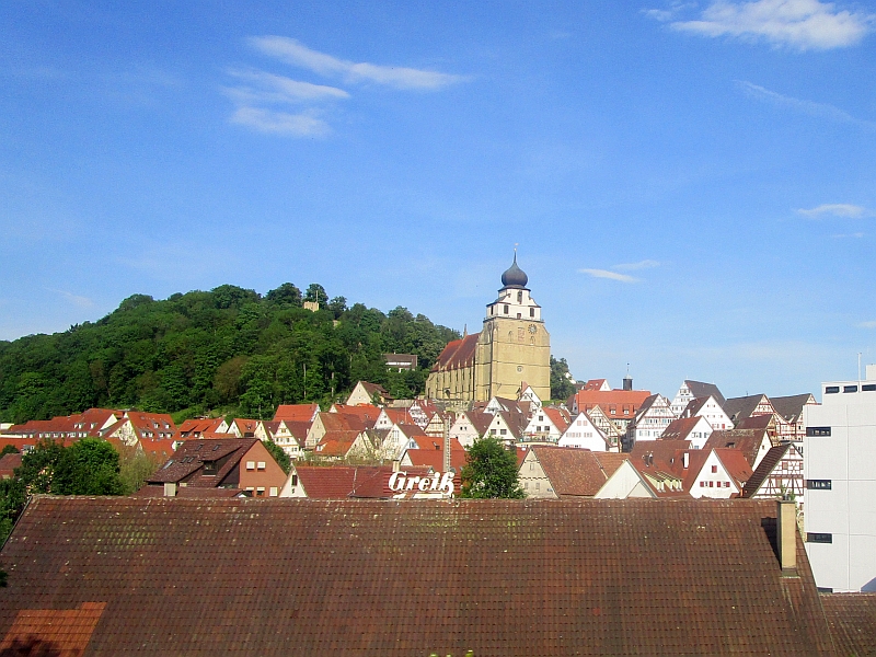Blick über die Dächer von Herrenberg zur Stiftskirche am Schlossberghang