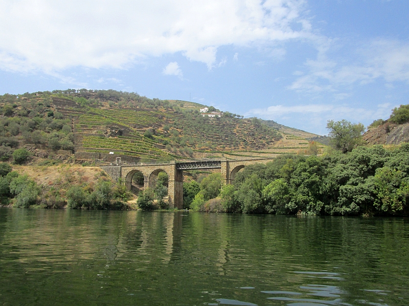 Blick vom Fluss auf die Bahnstrecke am Douro