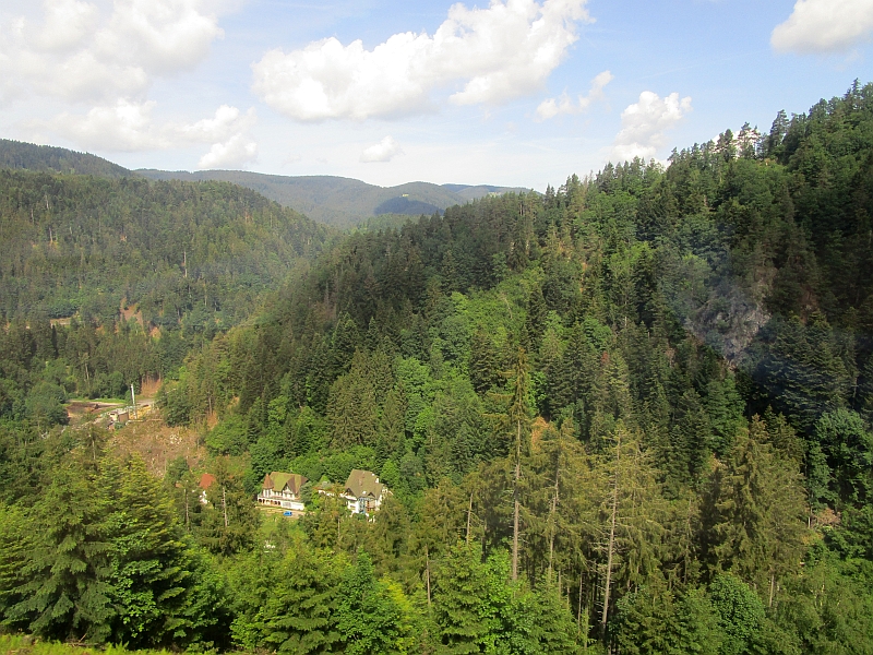 Schwarzwaldlandschaft zwischen Sankt Georgen und Hornberg