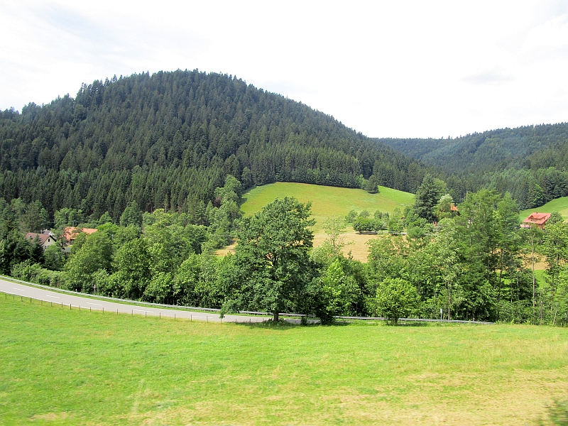 Schwarzwaldlandschaft zwischen Alpirsbach und Loßburg