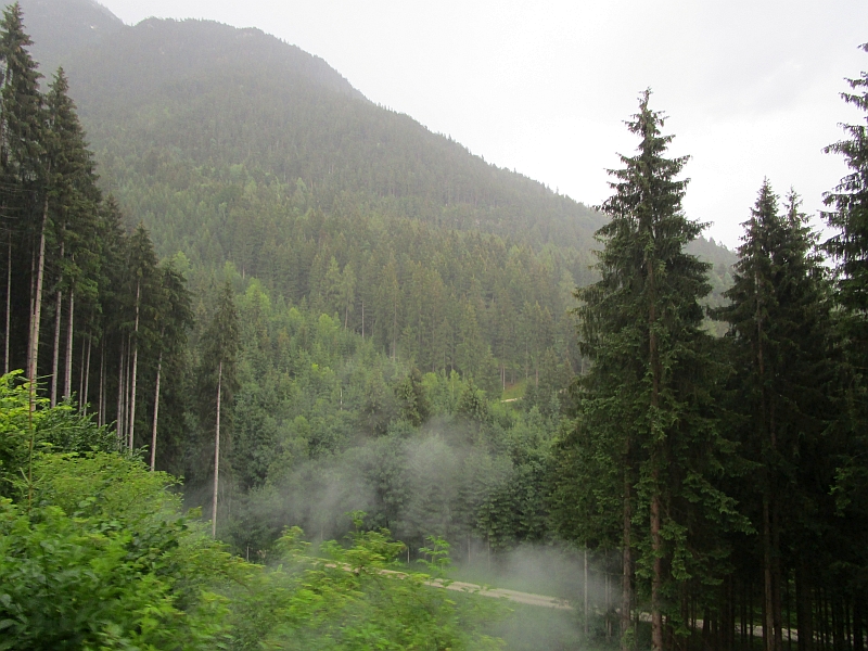 Fahrt durch den Wald nach Jenbach