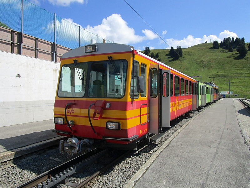Zug in den Farben der Bex-Villars-Bretaye-Bahn