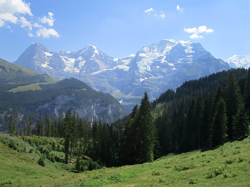 Blick aus der Mürrenbahn zu den Berner Alpen