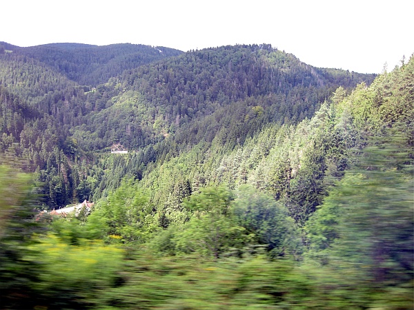 Fahrt auf der Schwarzwaldbahn