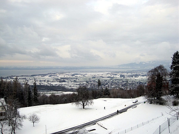 Blick von Walzenhausen über den Bodensee