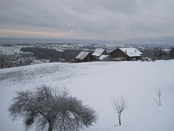 Blick aus der Rheineck-Walzenhausen-Bergbahn
