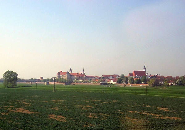Blick auf Torgau an der Elbe
