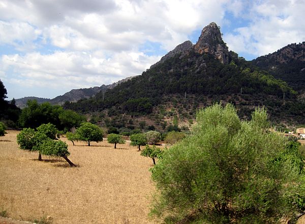 Fahrt mit dem Tren de Sóller durch Mallorca