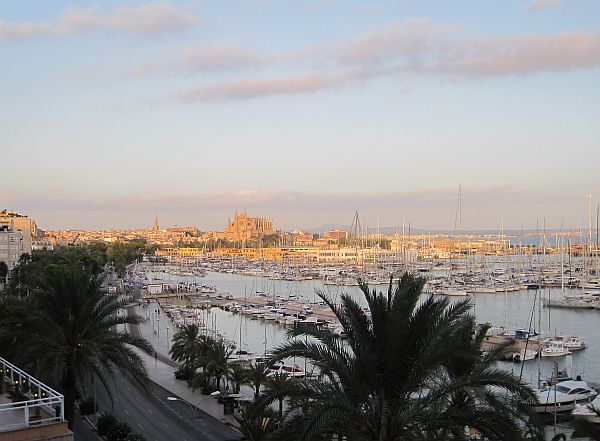 Palma in der Abendsonne