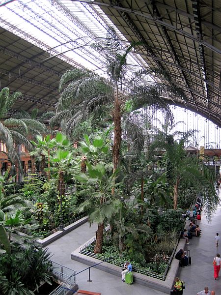 Palmengarten in der Bahnhofshalle Madrid-Atocha