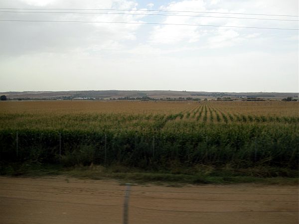 Fahrt auf der Schnellfahrstrecke Madrid - Toledo