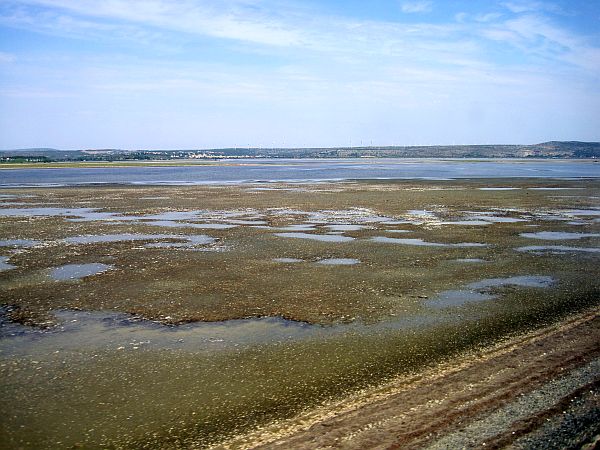 Fahrt durch die Lagunenlandschaft an der südfranzösischen Mittelmeerküste