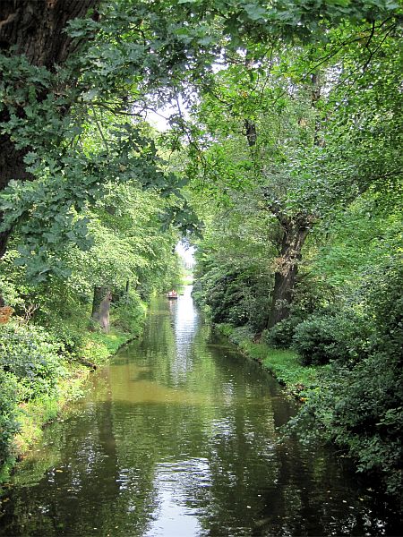 Kanal im Wörlitzer Park