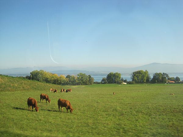 Blick aus dem Zugfenster auf den Genfer See
