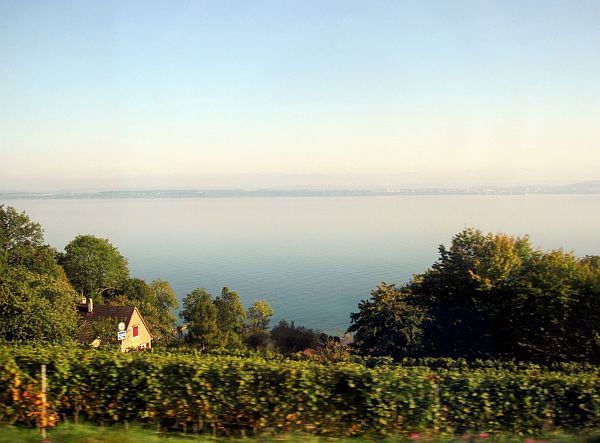 Fahrt entlang des Neuenburgersees (Lac de Neuchâtel)