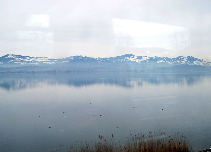 Fahrt entlang des winterlichen Zürichsees