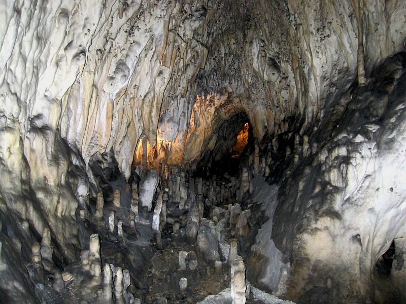 Vivarium in der Höhle von Postojna