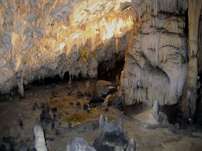 Vivarium in der Höhle von Postojna
