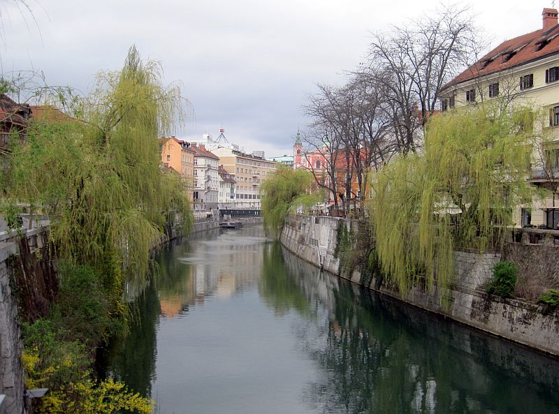 Fluss Ljubljanica in Ljubljana