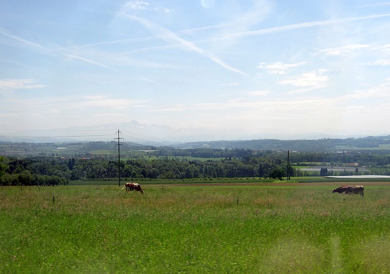 Blick zwischen Kreuzlingen und Weinfelden auf die Alpen