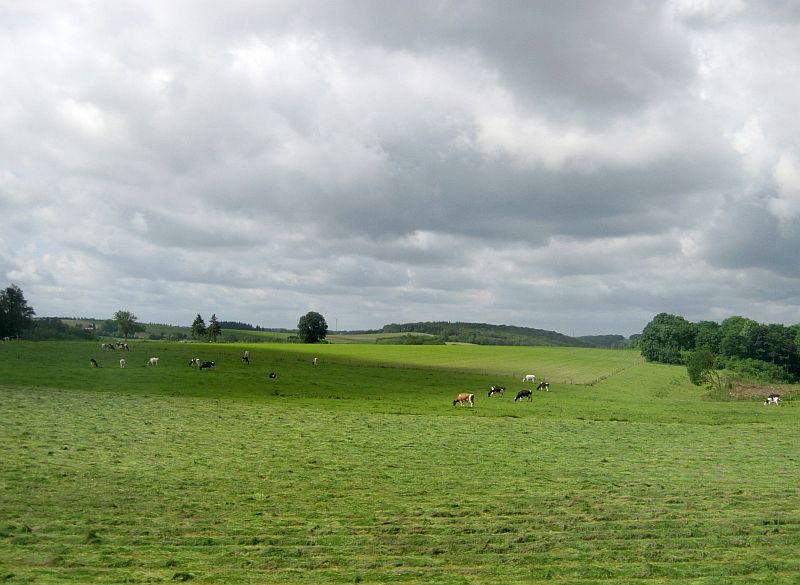 Blick aus dem Zugfenster bei der Fahrt durch die Ardennen