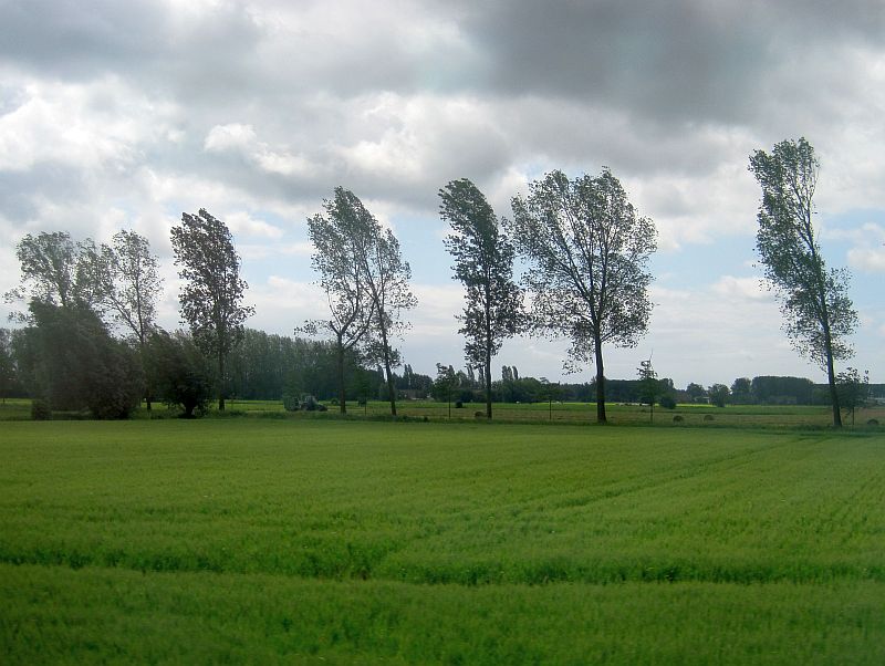 Fahrt durch Flandern