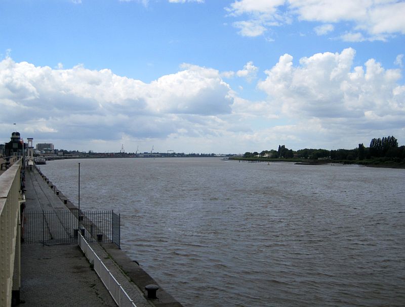 Schelde in Antwerpen