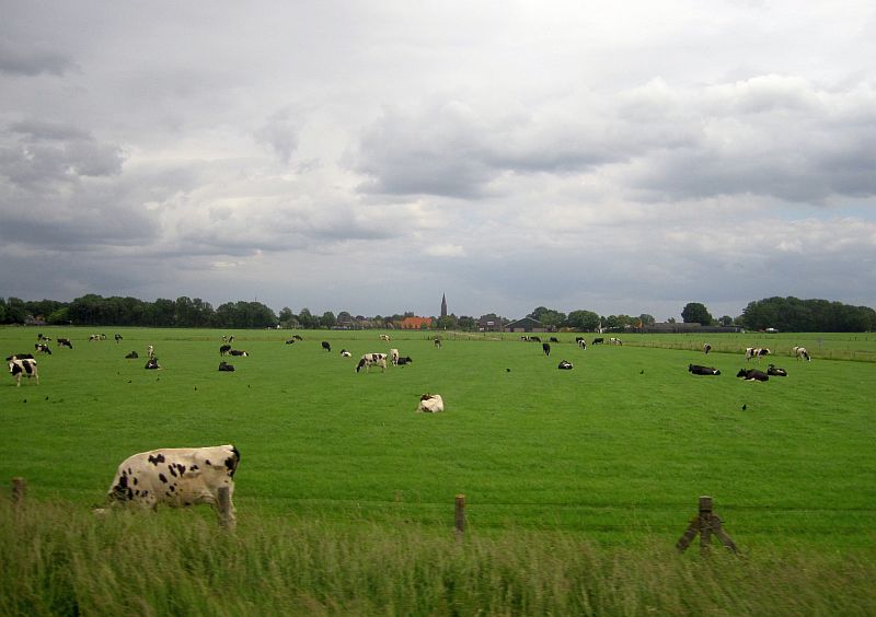 Fahrt von Antwerpen nach Amsterdam