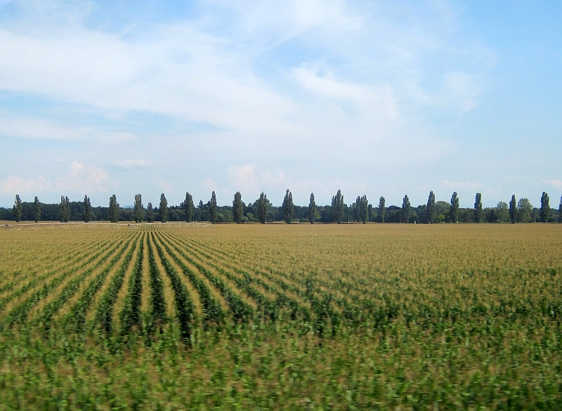 Fahrt durch die Rheinebene zwischen Straßburg und Mülhausen