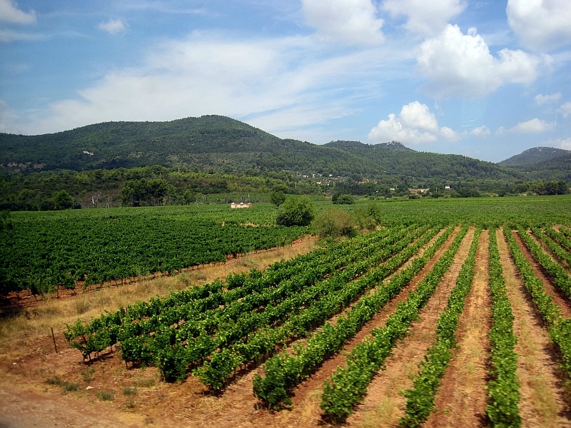 Fahrt durch die Provence