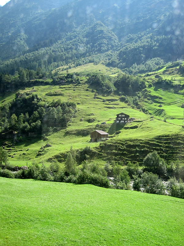 Blick aus dem Zugfenster auf der Gotthardstrecke