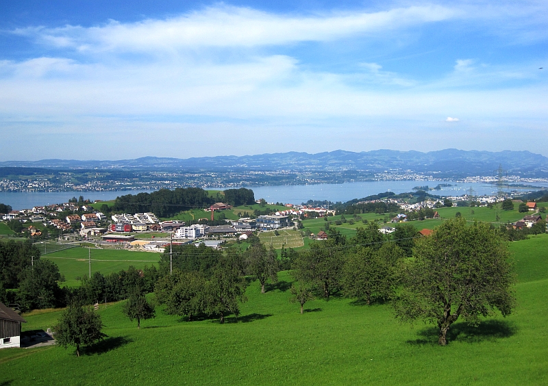 Blick vom Voralpen-Express auf den Zürichsee