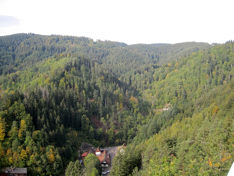 Blick auf die Schwarzwaldlandschaft