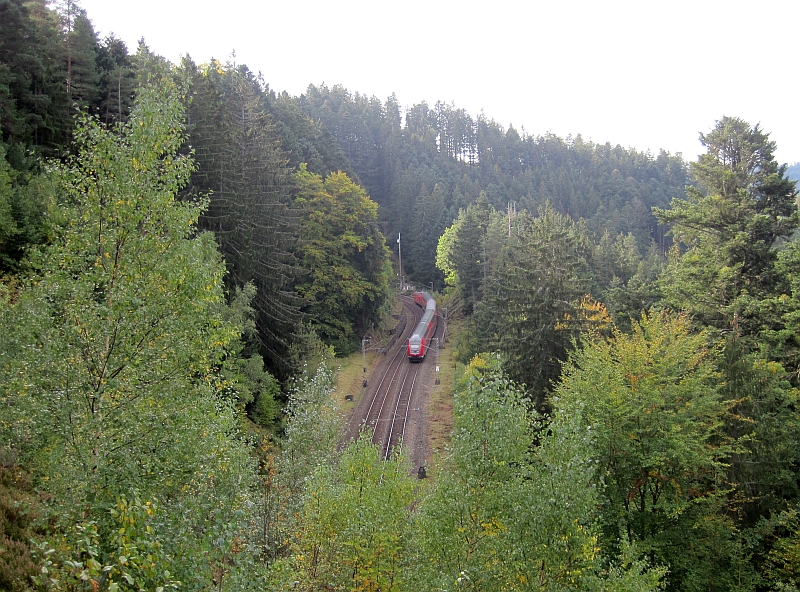 Ein Zug der Schwarzwaldbahn auf der Fahrt zum Bodensee