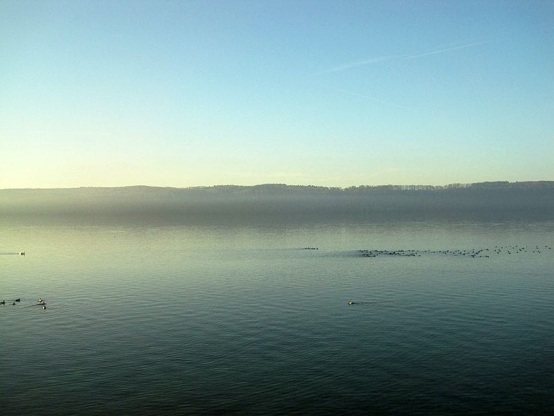 Blick vom Zug über den Bodensee