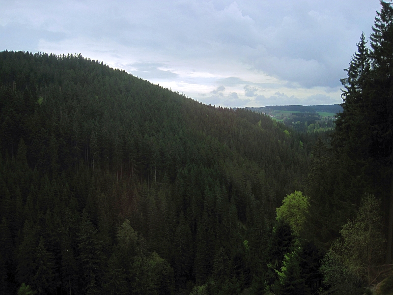 Blick im Schwarzwald aus dem Zugfenster