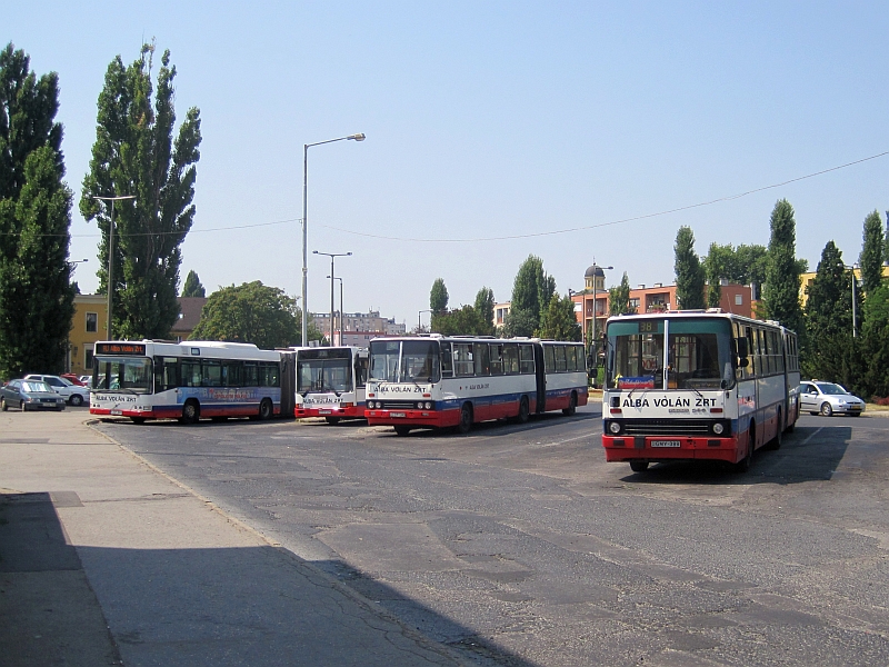 Busse vor dem Bahnhof Székesfehérvár