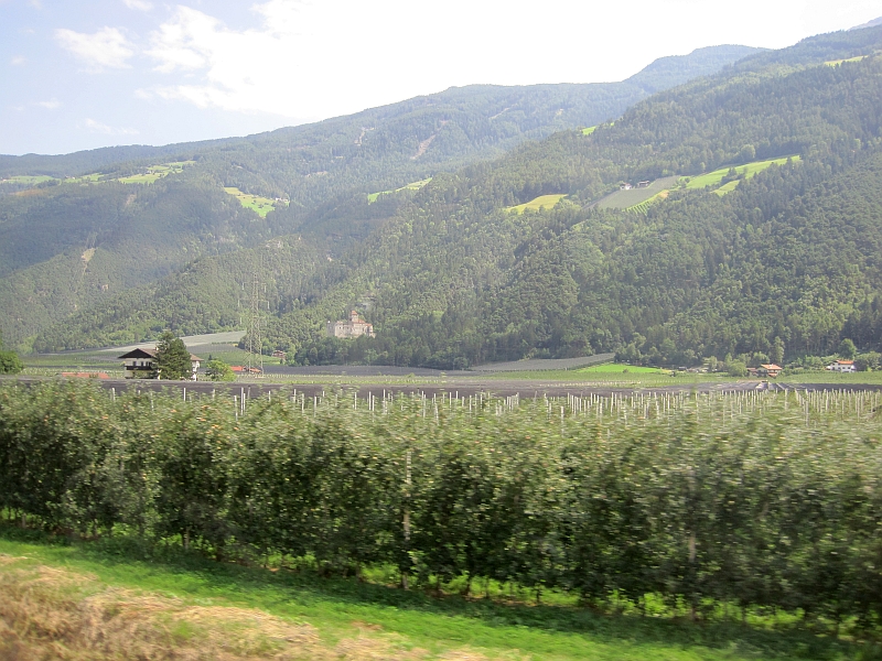 Blick vom Zug auf Schloss Dornsberg