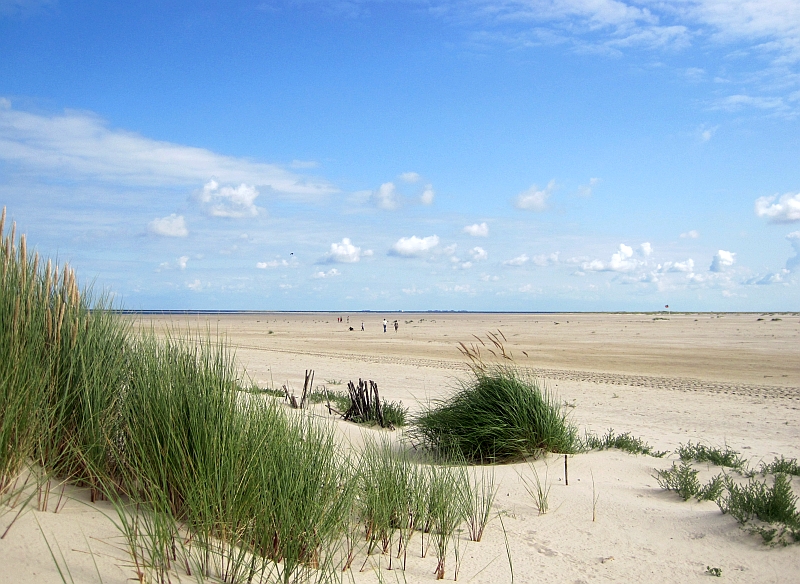 Kniepsand Amrum