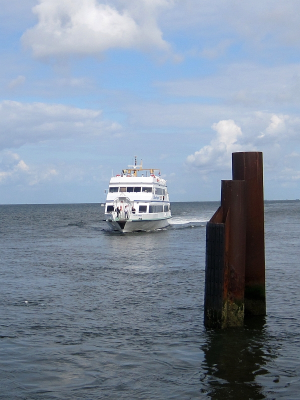 MS Adler-Express