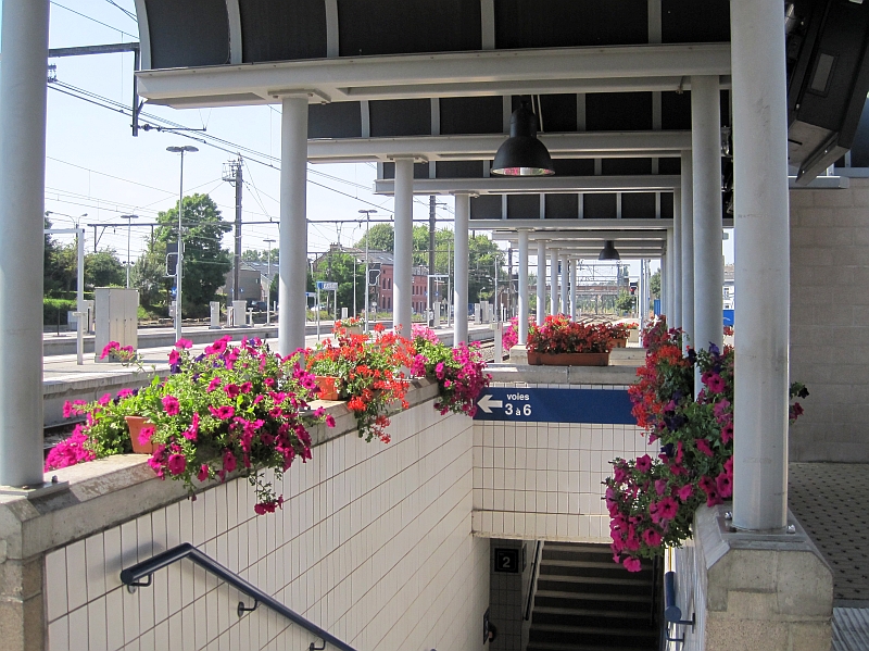 Blumenschmuck am Bahnhof Welkenraedt
