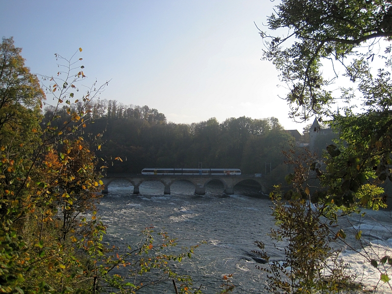 Thurbo-GTW auf der Rheinfallbrücke