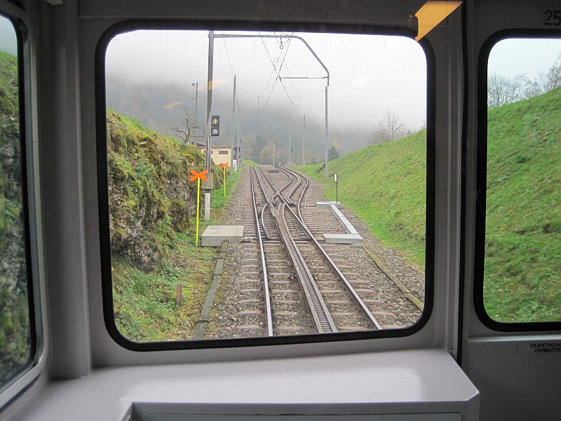 Streckenblick bei der Bergfahrt der Arth-Rigi-Bahn