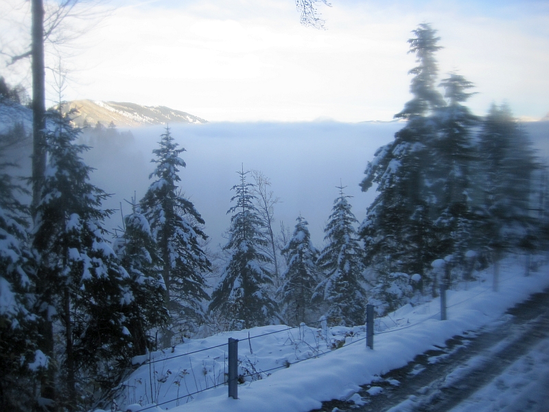 Talfahrt der Arth-Rigi-Bahn in den Nebel