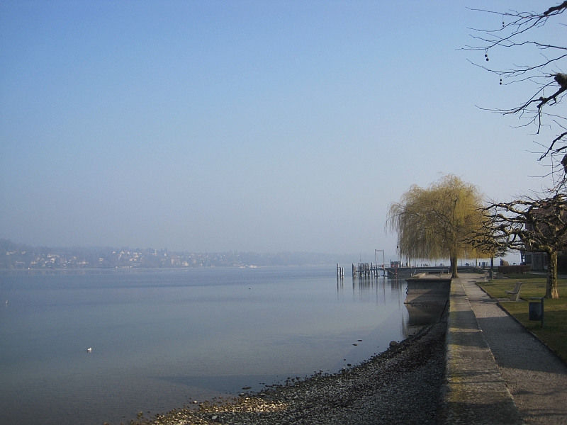 Untersee bei Steckborn, Blick auf das deutsche Ufer