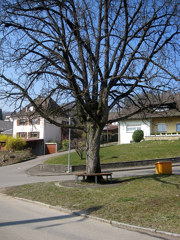 Sitzbank am Bahnhof Lottstetten