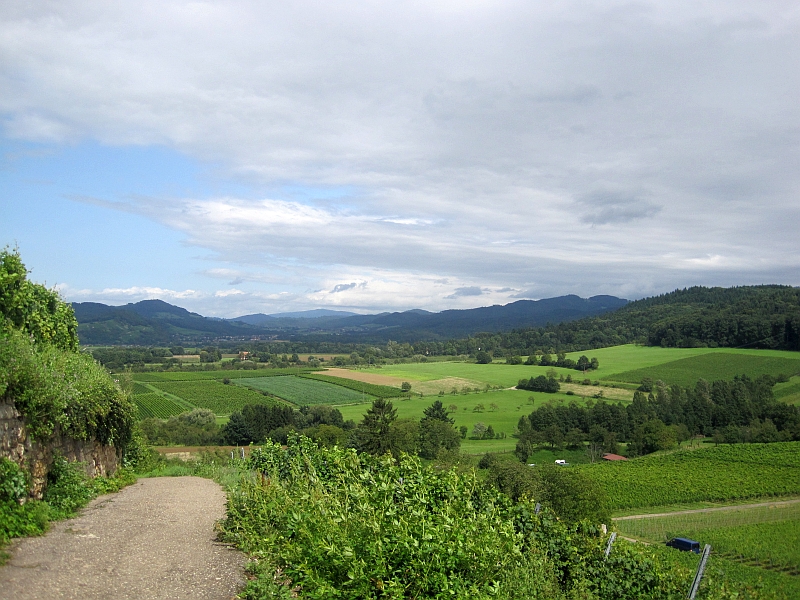 Blick auf die Schwarzwaldlandschaft beim Fußweg zur Burgruine Staufen